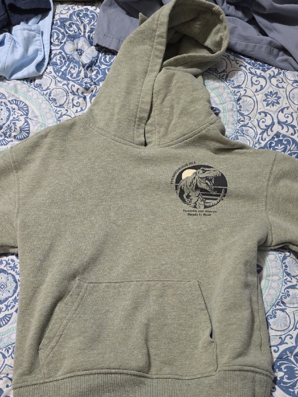 Boys Olive Crewneck Hoodie with T-Rex Chest Graphic